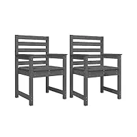 vidaxl lot de 2 chaises de jardin, sièges à dîner, fauteuils, meubles de terrasse patio extérieur, moderne, gris bois massif de pin