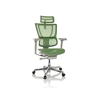 hjh office chaise de bureau ergohuman slim i g filet fauteuil de bureau ergonomique avec soutien lombaire flexible, vert, 652296