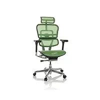 hjh office chaise de bureau ergohuman i filet fauteuil de bureau ergonomique avec soutien lombaire flexible, vert, 652279