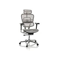 hjh office chaise de bureau ergohuman i filet fauteuil de bureau ergonomique avec soutien lombaire flexible, gris clair, 652275