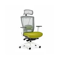 rekt office-r - chaise de bureau ergonomique - 12 régalges - fauteuil de bureau avec support lombaire - appuie tête - profondeur d'assise - assise 55kg/m3 confort (blanc/vert)