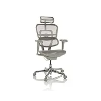 hjh office siège de bureau ergohuman edition i g fauteuil de bureau ergonomique avec soutien lombaire flexible, gris clair, 652273