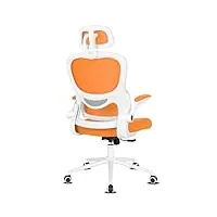 misolant chaise de bureau ergonomique, chaise de bureau avec soutien lombaire, chaise de bureau en maille, chaise ergonomique avec appuie-tête et accoudoirs réglables, chaise de bureau inclinable,