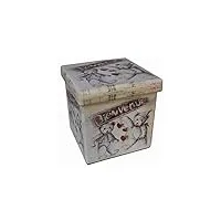biscottini pouf de rangement en similicuir 33 x 33 x 33 cm - boîte à objets avec couvercle - cube de rangement - pouf pliable
