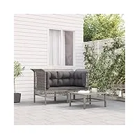 canapé de jardin, salon de jardin banc de jardin fauteuil extérieur canapés d'angle de jardin et coussins 2 pcs gris résine tressée
