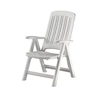 tomaino chaise longue de jardin pliante en plastique – fauteuil d'extérieur relaxant, maison, camping inclinable – 5 positions avec accoudoirs (blanc)