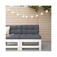 rantry canapé central avec coussin - blanc - en pin massif - canapé de jardin modulaire - canapé de salon - canapé simple - fauteuil de jardin