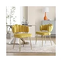 athrz lot de 2 chaises en velours doux - chaises de salon confortables avec coussins doux - dressing / chambre à coucher - dos des doigts moderne avec accoudoirs - chaises creuses