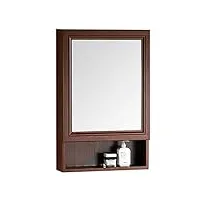 noaled armoire à miroir de salle de bain, boîte de miroir de salle de bain murale en aluminium, miroir de toilette avec support, armoire de rangement de toilette, cloisons multiples