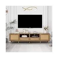 fruyyzl meuble télé, meuble tv 200 cm longueur, banc tv design en rotin véritable, meuble tv bas pied en bois massif, panneau tv en rotin tressé, meuble tv avec rangement ﻿