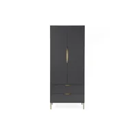 kobe - armoire 2 portes 2 tiroirs en bois - couleur - gris 288475141132