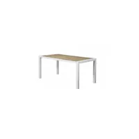 table de jardin rectangulaire - 160 cm - aluminium tabalwd160
