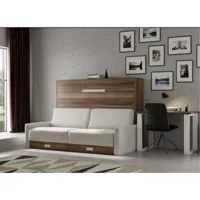 lit escamotable horizontal avec canapé vetal 120x200-canapé marron foncé-structure et façade blanche