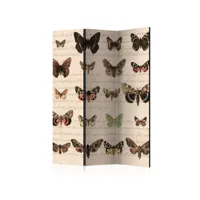 paravent - retro style: butterflies [room dividers] [135x172]