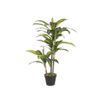 2x dracena plante c-vase 43 feuilles h88cm