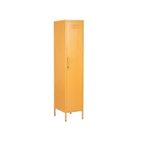 armoire en acier jaune frome 228190