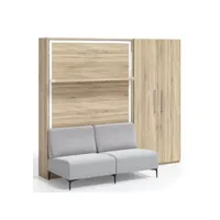 lit escamotable verticale avec canapé et armoire marko 120x190-canapé vert pistache-structure et façade carbone