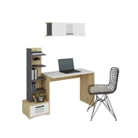 ensemble bureau, bibliothèque et étagère doller anthracite, blanc et bois clair
