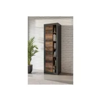 bibliothèque design avec une porte et niches apparentes coloris chêne et noir mat collection onyxia