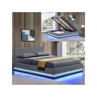 lit led avec coffre de rangement ava - gris - 160x200