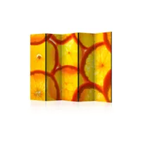 paravent 5 volets - orange slices ii [room dividers] a1-paraventtc0671
