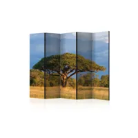 paravent 5 volets - african acacia tree, hwange national park, zimbabwe ii [room dividers] a1-paraventtc2002