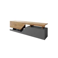 pitt - meuble tv - 160 cm - style industriel - bestmobilier - bois et gris