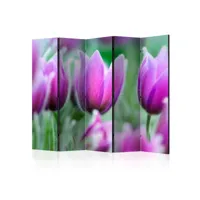 paravent - purple spring tulips ii [room dividers] [225x172]