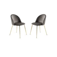 chaise de salle à manger en velours gris foncé et pieds en métal doré - venezia 2 chaises