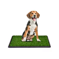 giantex toilette chien gazon portable 51x76cm litière pour chien tapis d’herbe matelas d'entraînement pour animaux