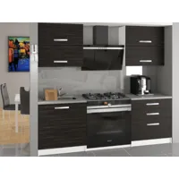 cinder - cuisine complète modulaire linéaire l 120 cm 4 pcs - plan de travail inclus - ensemble armoires modernes cuisine - ébène