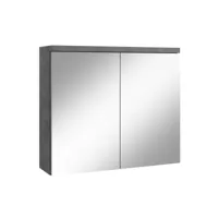 meuble a miroir toledo 80 x 60 cm gris - miroir armoire miroir salle de bains verre armoire de rangement