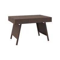 table d'appoint pliable marron 60x40x38 cm résine tressée