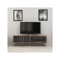 homemania meuble tv rilla moderne - avec portes, étagères - pour salon - noyer, anthracite en bois, 150 x 35 x 48 cm hio8681285947598