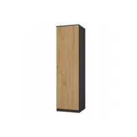 esme - armoire simple style scandinave chambre à coucher - 50x50x180 - 1 porte - dressing - gris&aspect bois