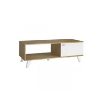 table basse 1 porte bois-blanc - quiruta - l 120 x l 50 x h 42 cm