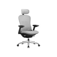 chaise de bureau, fauteuil ergonomique réglable en toile, dossier inclinable, assise réglable avant ou arrière, accoudoirs 4d, support lombaire, capacité 150 kg, gris tourterelle