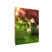 tableau bois fleurs de jasmin dpa/1-tyk/m_12369/80x120