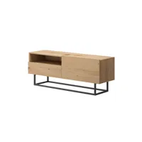 kyle - meuble tv 1 porte - bois et métal noir - 120 cm - style industriel - bestmobilier - bois