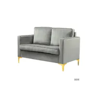 canapé moderne en velours avec pieds dorés, petit canapé confortable avec coussins amovibles, canapé 2 places pour le salon et la chambre à coucher, gris