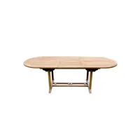 table de jardin ovale extensible 10 places en teck brut kajang