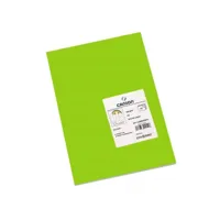papiers carton iris fluor 297 x 420 mm vert 50 unités