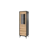 peter - vitrine - bois et noir - 54x178 cm - style industriel - best mobilier - noir et bois