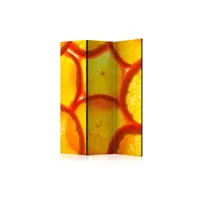 paravent 3 volets - orange slices [room dividers] a1-paraventtc0670