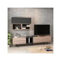 homemania meuble tv diany moderne, bibliothèque - avec portes, étagères - pour salon - noir en bois, 195 x 37 x 45 cm hio8681285954701