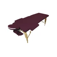 table de massage pliante 2 zones en bois avec panneau reiki + accessoires et housse de transport - prune