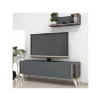 homemania meuble tv nicol - avec portes, étagères - pour salon - noyer, anthracite en bois, 120 x 31 x 42 cm hio8681285936813