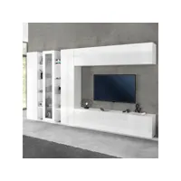 mur de salon équipé meuble tv blanc brillant 2 colonnes vitrine joy wide ahd amazing home design