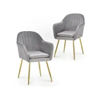 lot de 2 chaises avec accoudoirs en velours gris edwige zl201901639-gri-2