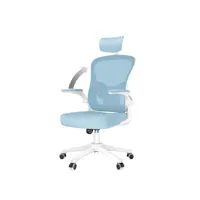chaise de bureau ergonomique et pivotante pour le bureau-bleu